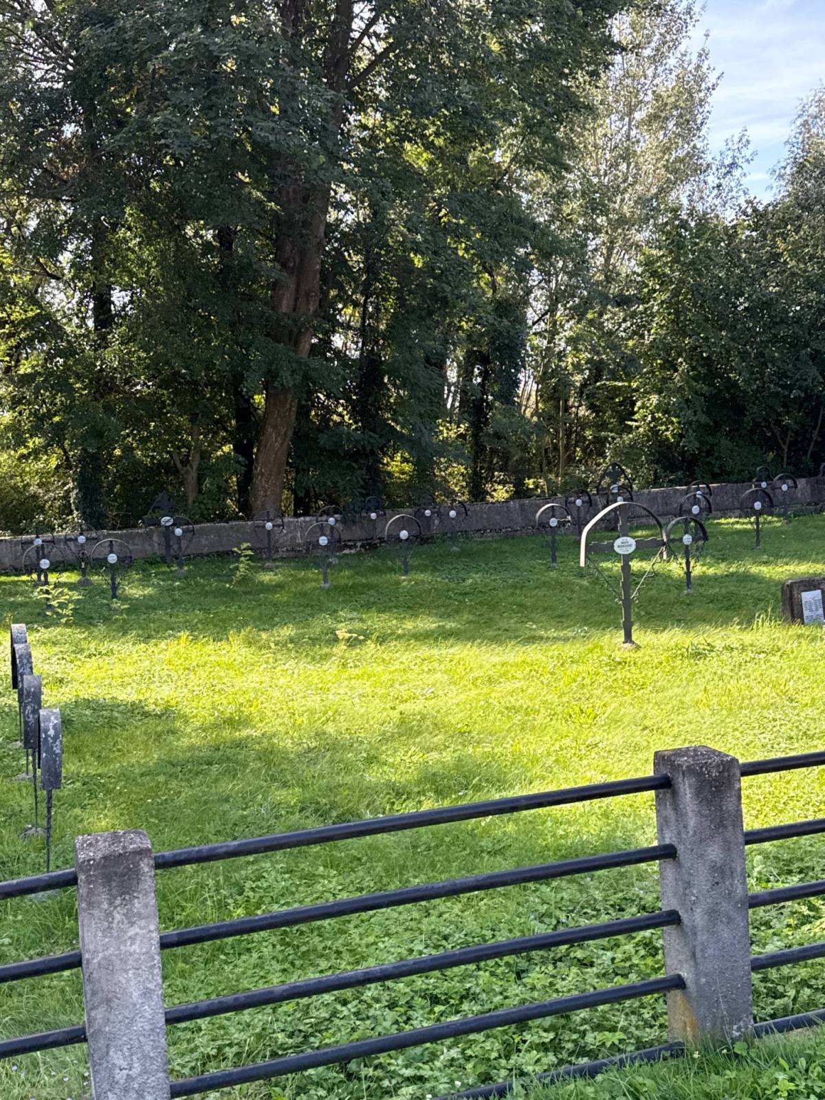 Zdjęcie 5
