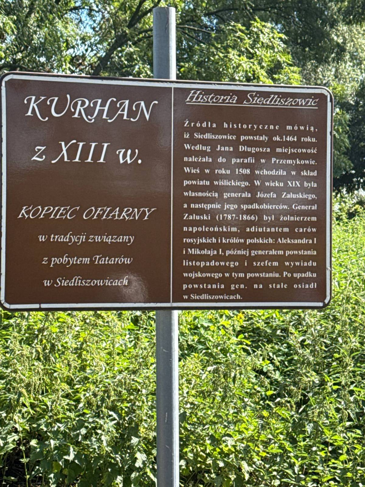 Zdjęcie 6