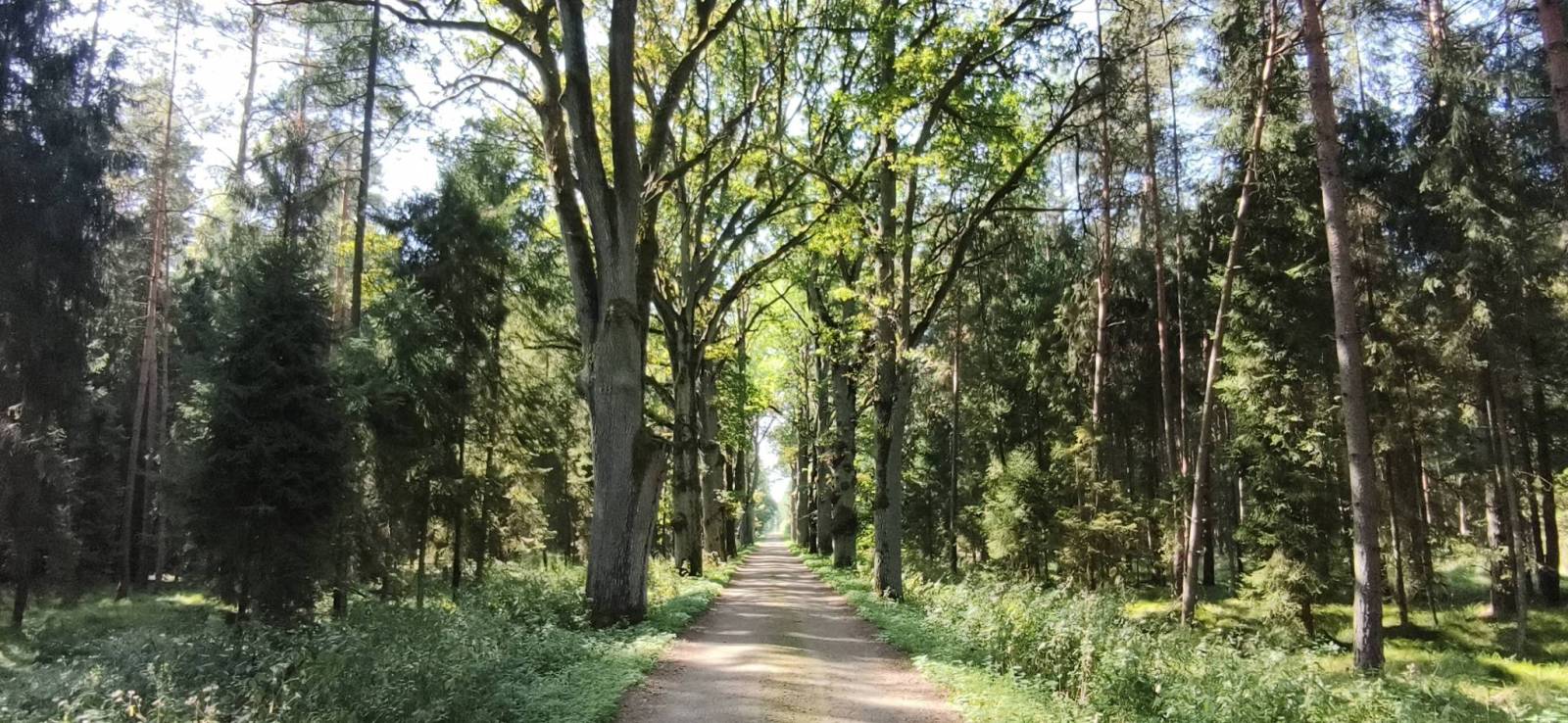 Zdjęcie 3