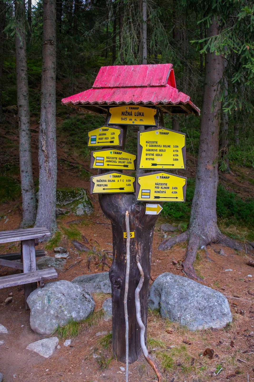 Zdjęcie 6