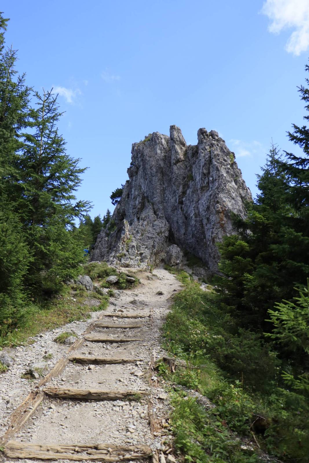 Zdjęcie 5