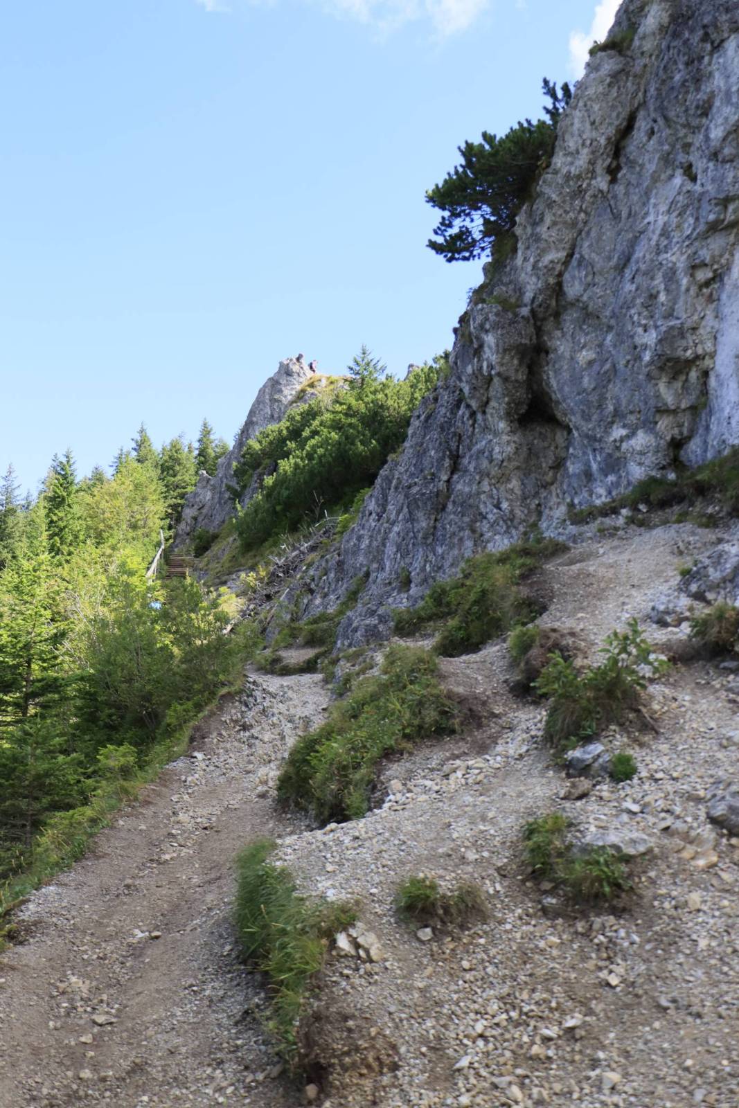 Zdjęcie 6