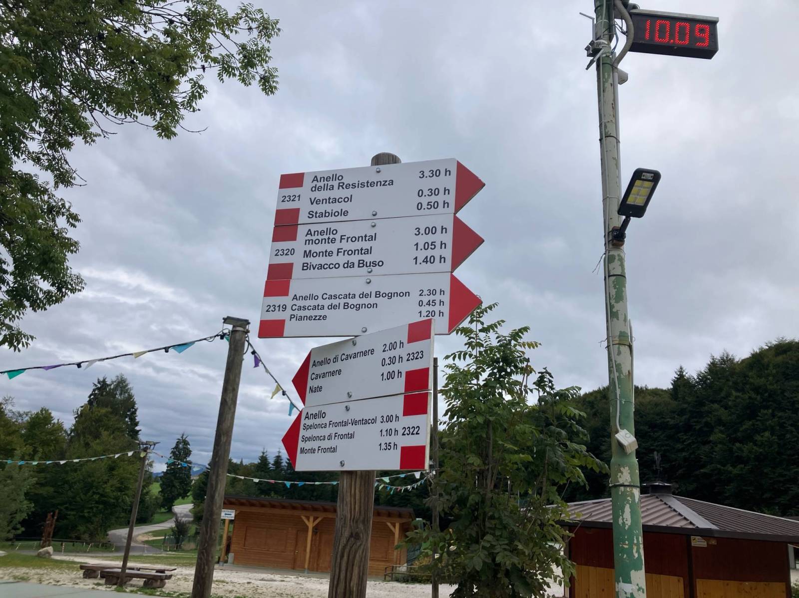 Zdjęcie 3