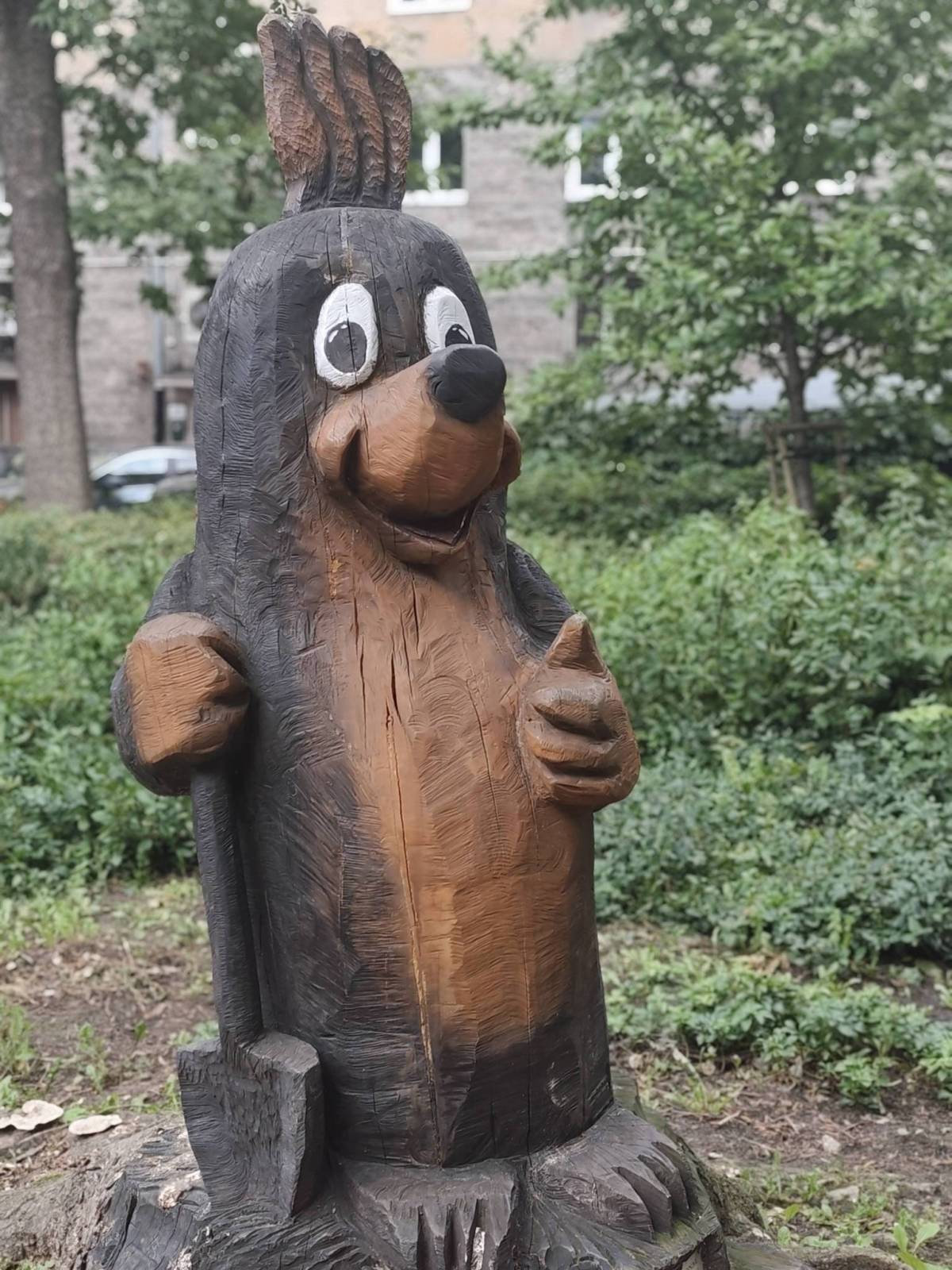 Zdjęcie 6
