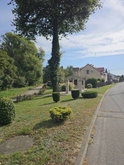 thumb-image