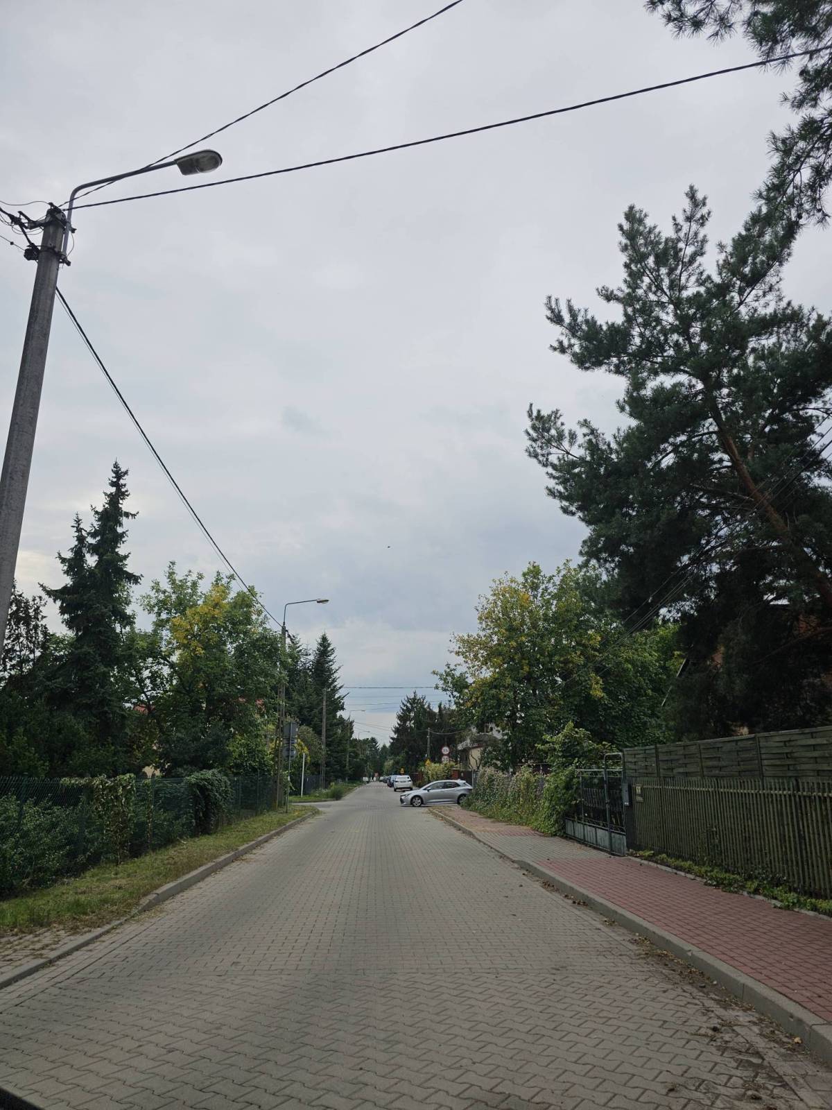 Zdjęcie 6