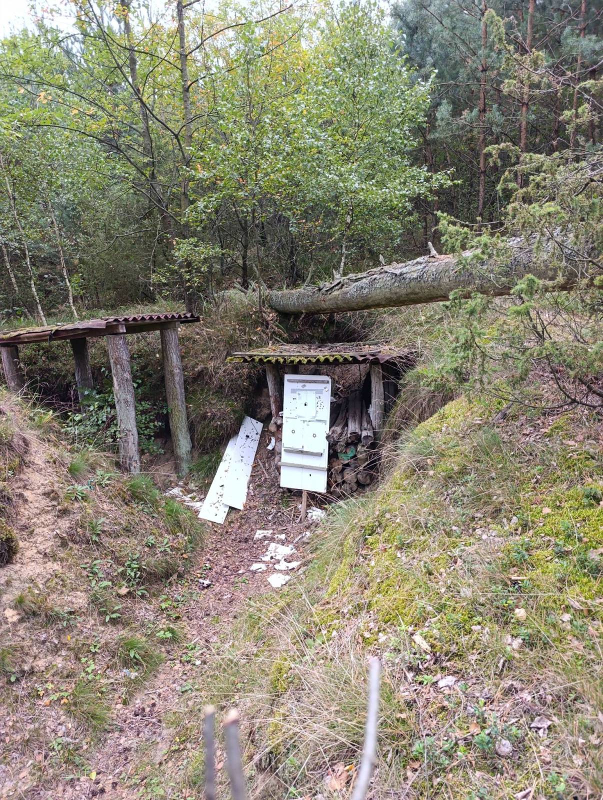 Zdjęcie 3