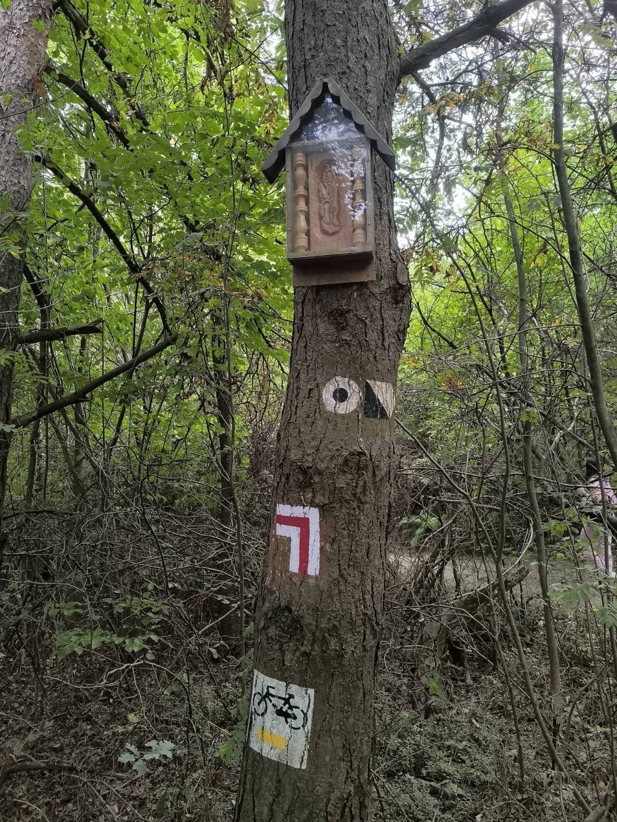 Zdjęcie 1