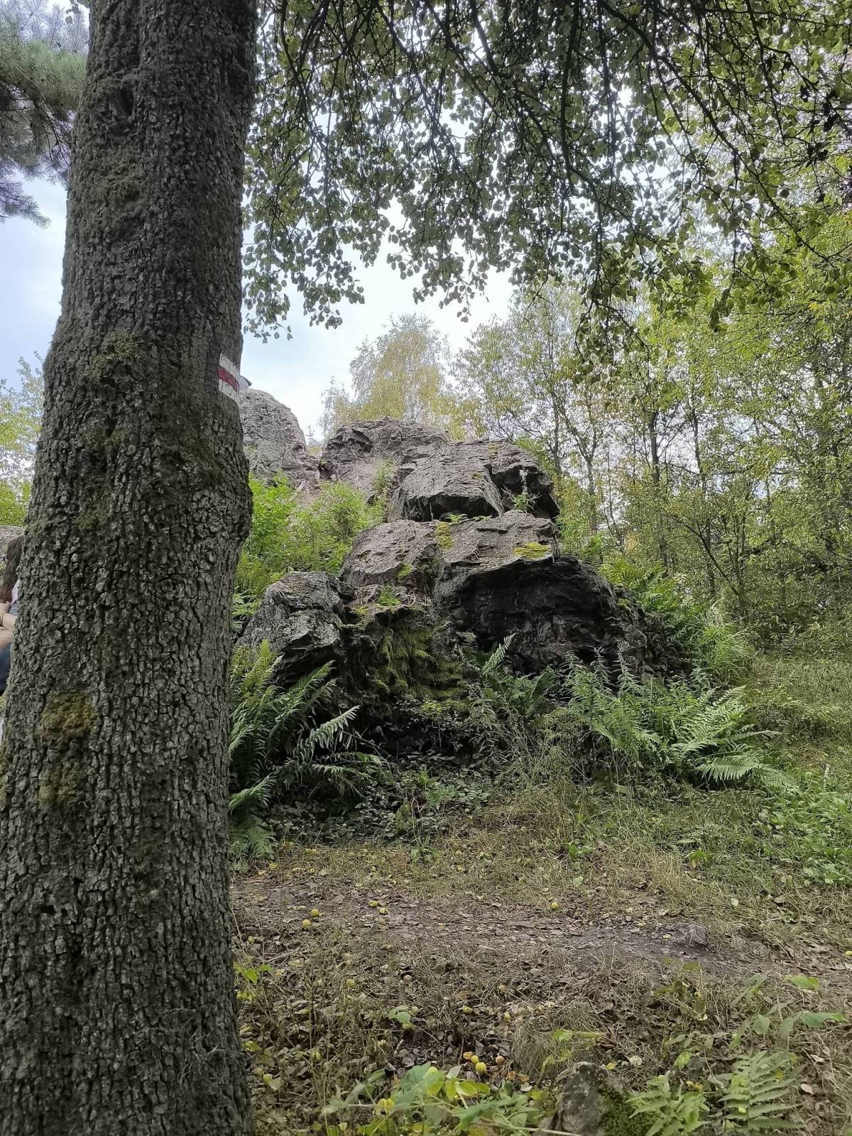 Zdjęcie 2