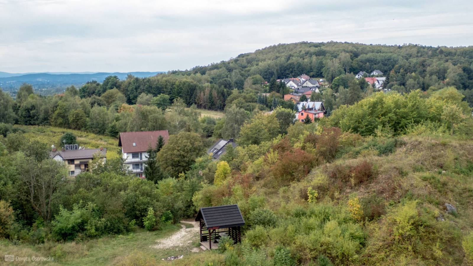 Zdjęcie 1