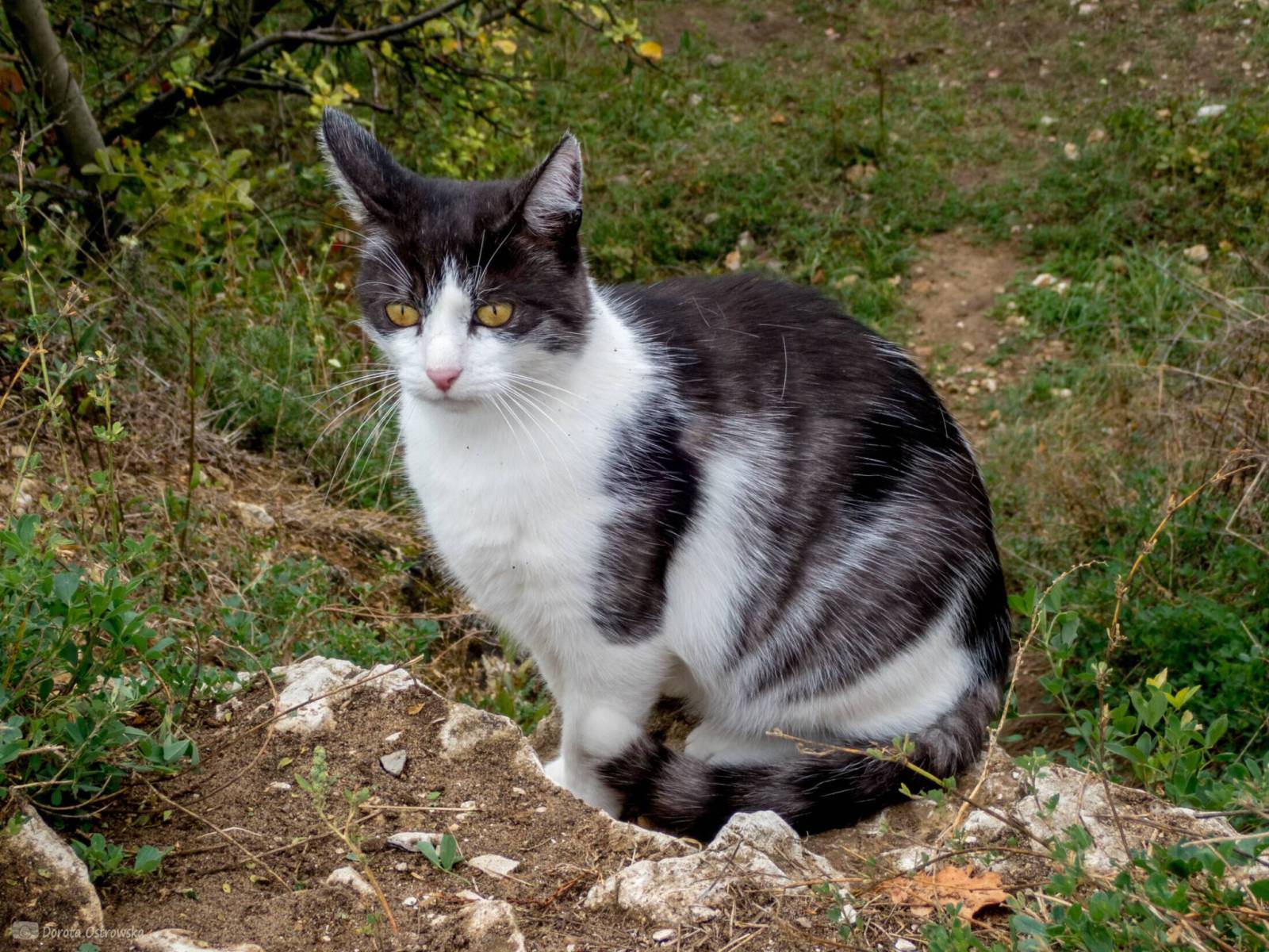 Zdjęcie 5