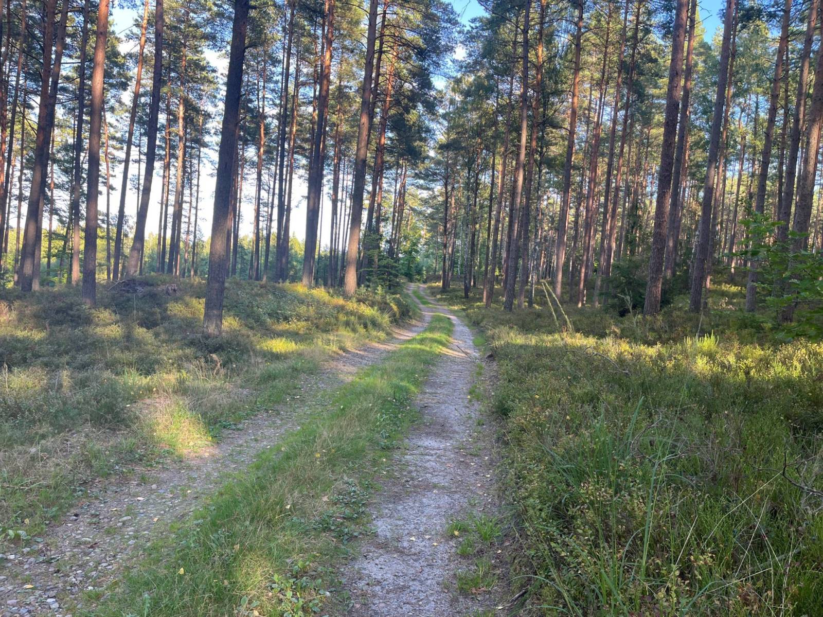 Zdjęcie 6
