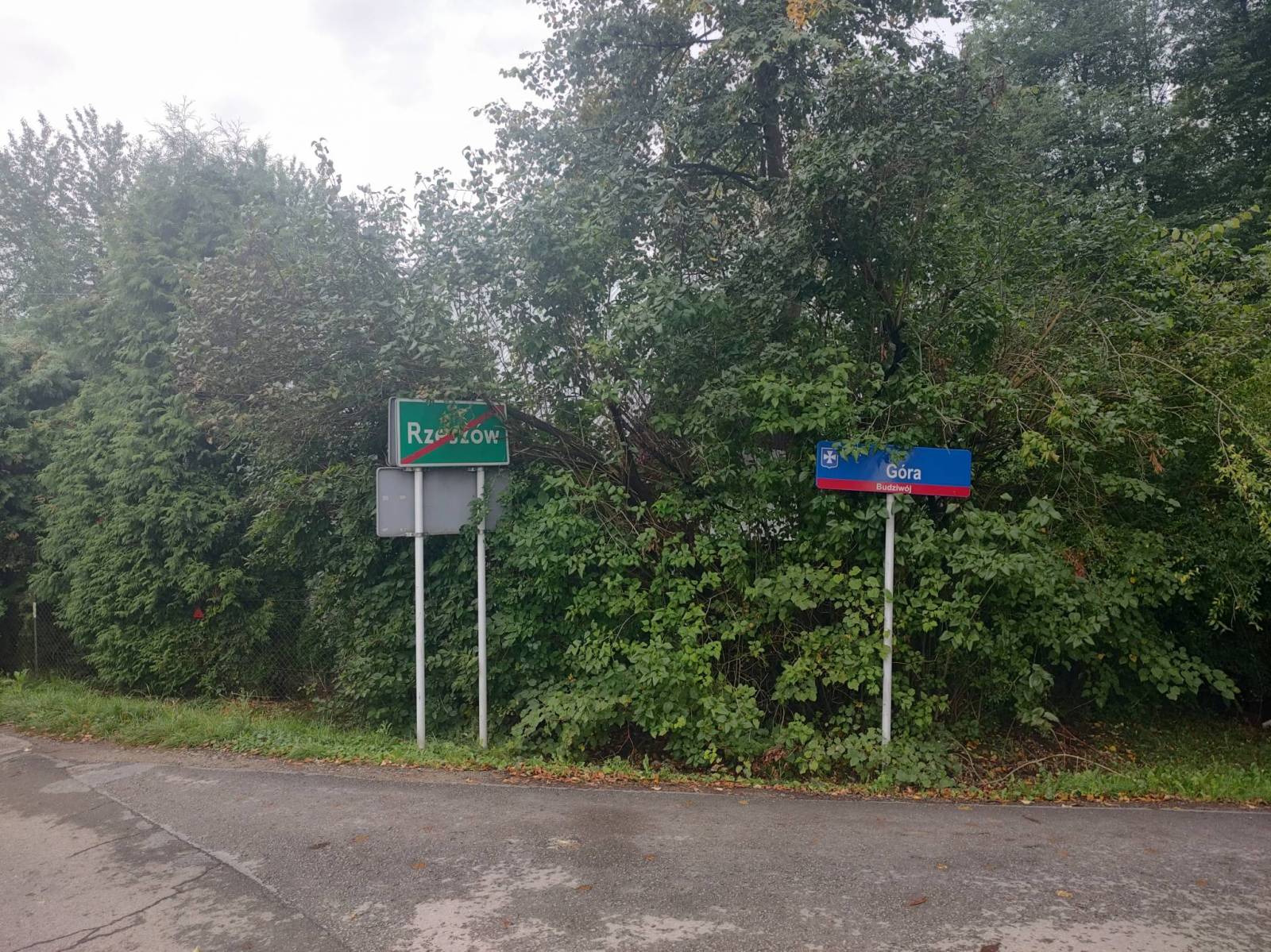 Zdjęcie 3