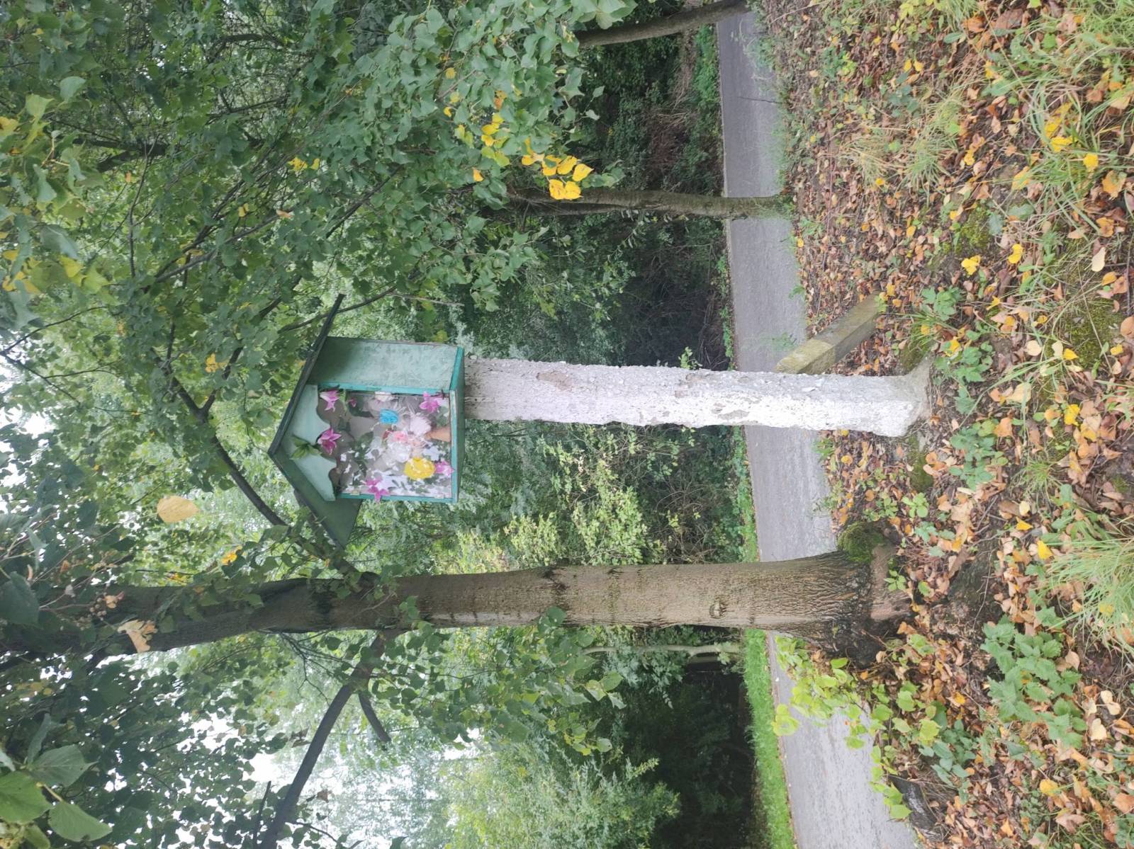 Zdjęcie 4
