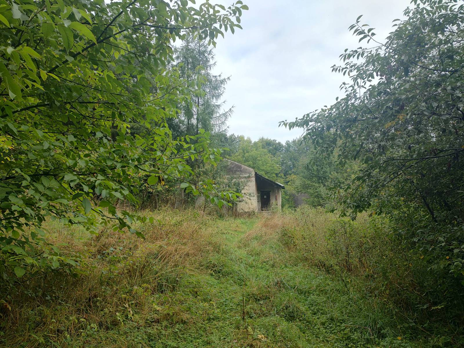 Zdjęcie 6