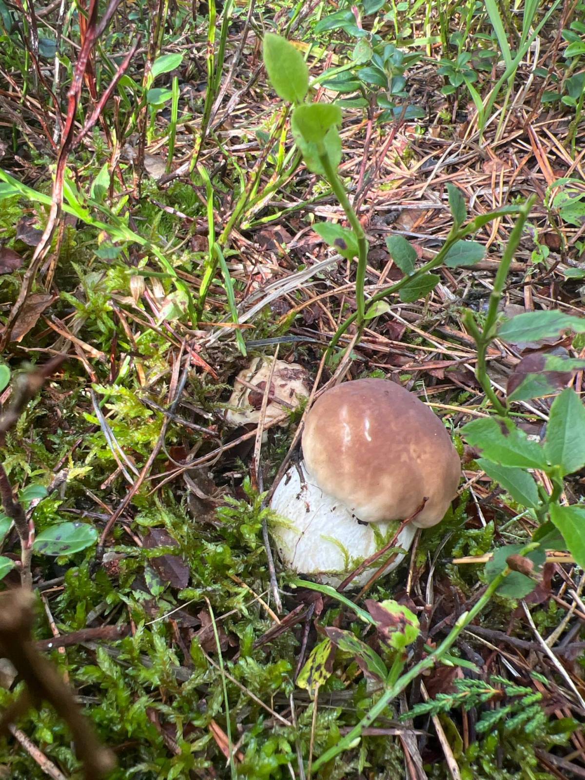 Zdjęcie 6