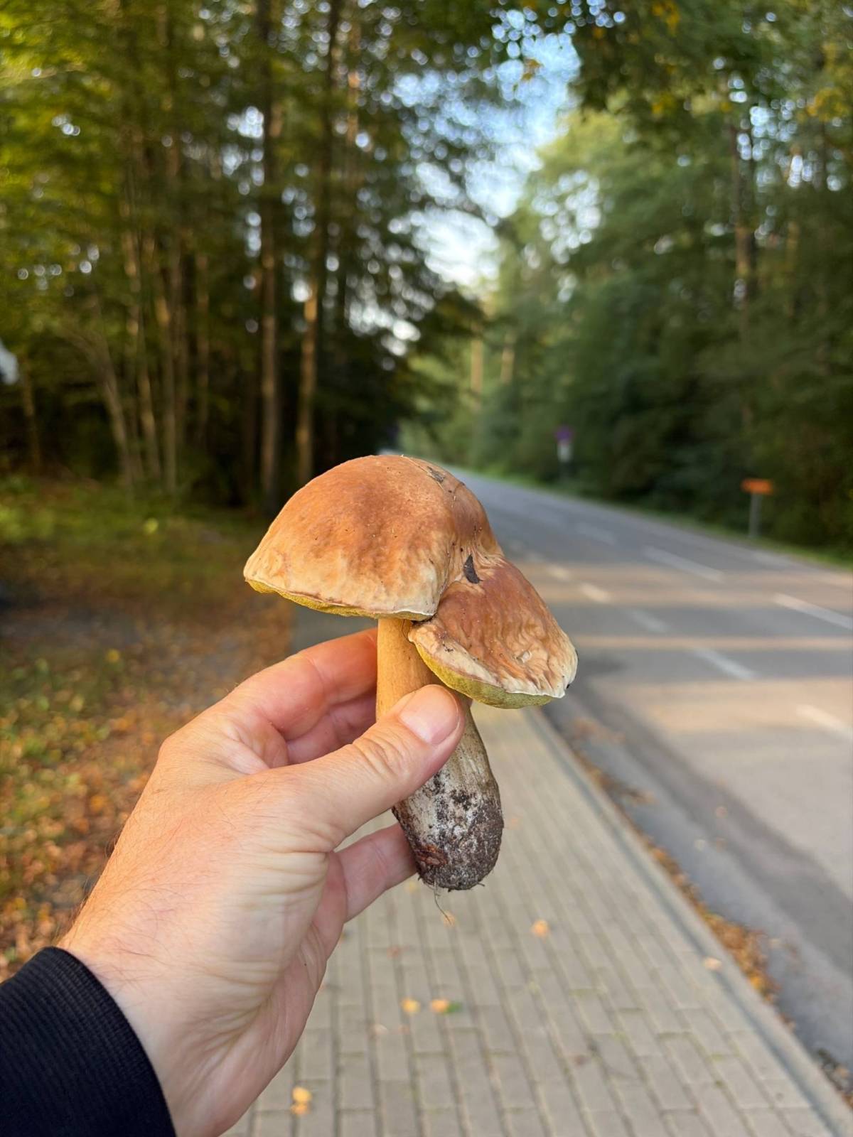 Zdjęcie 1