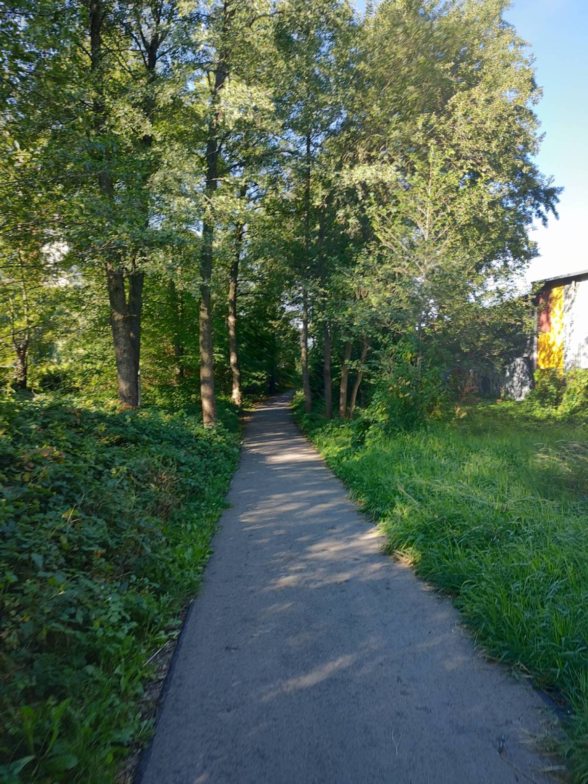 Zdjęcie 5