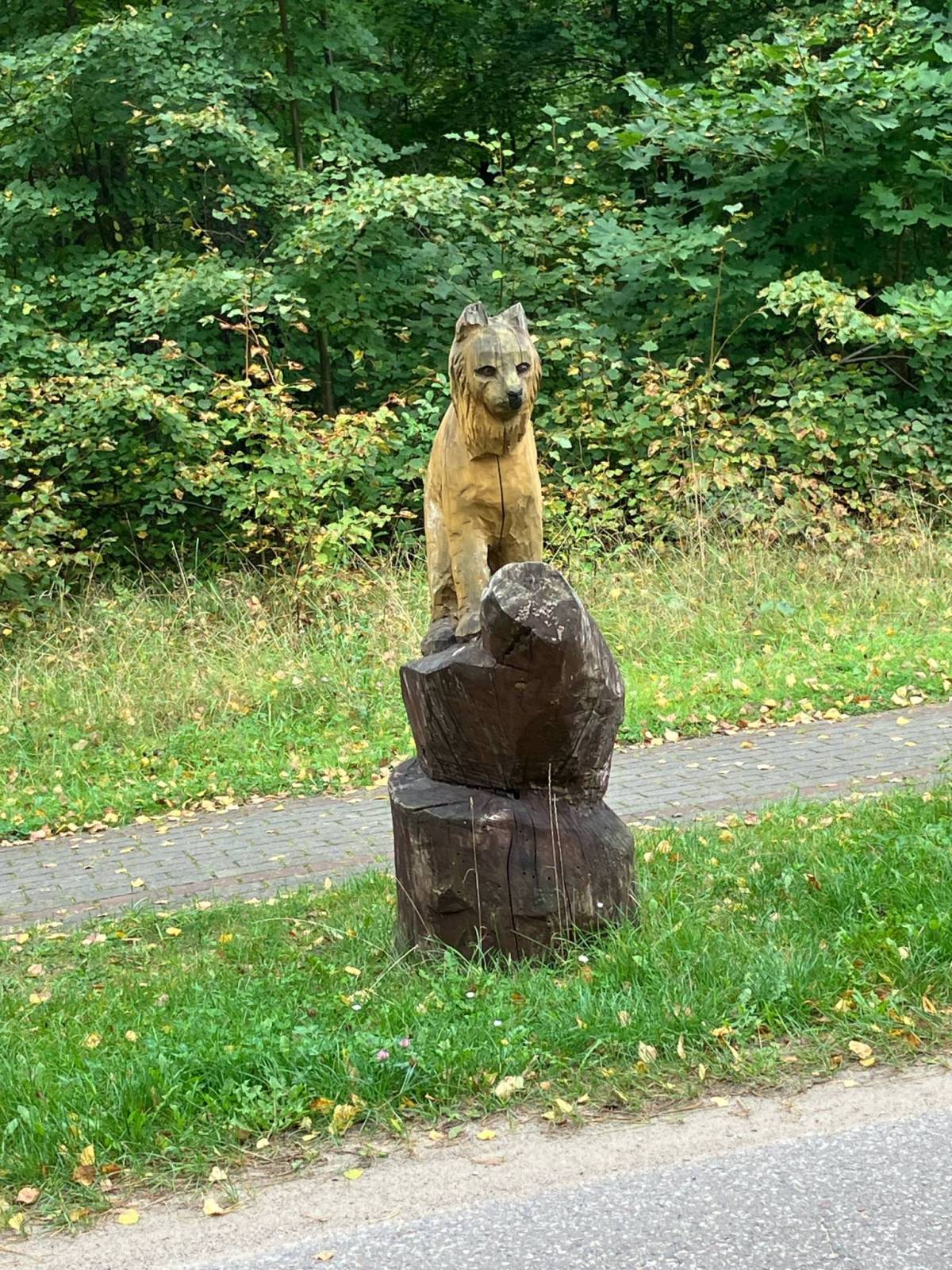 Zdjęcie 1
