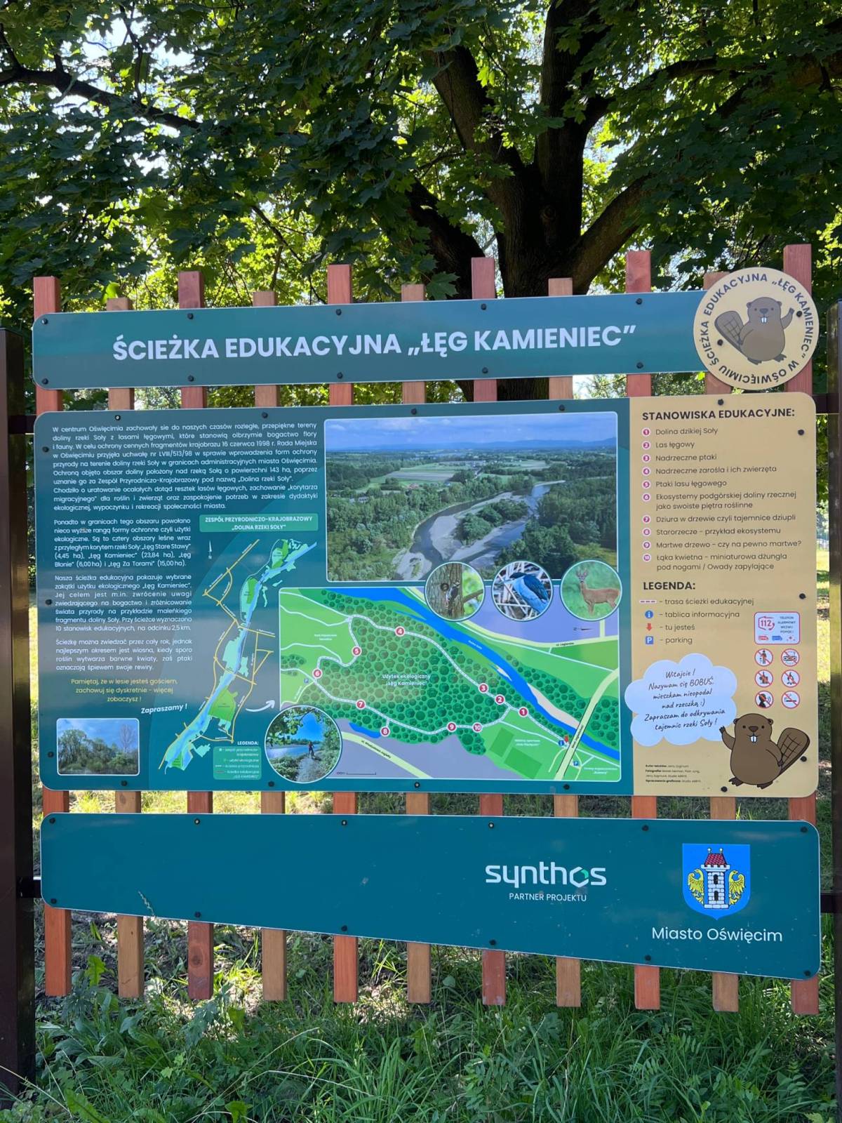 Zdjęcie 1