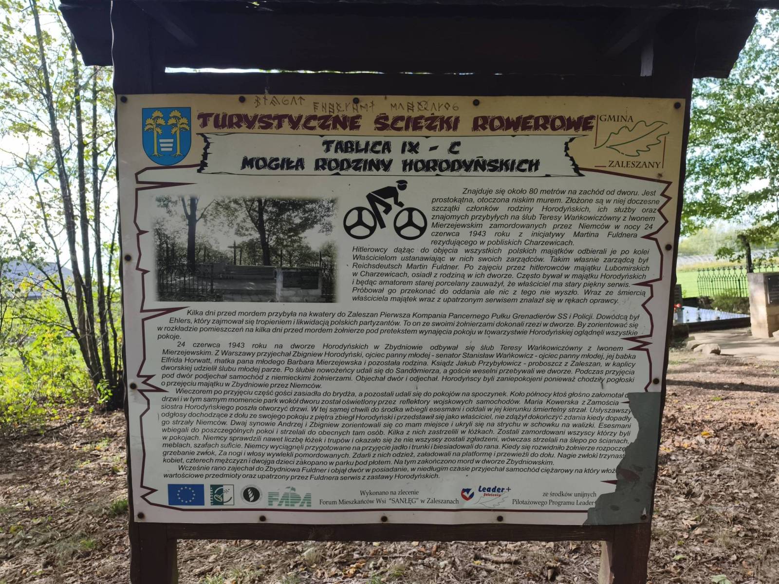 Zdjęcie 5