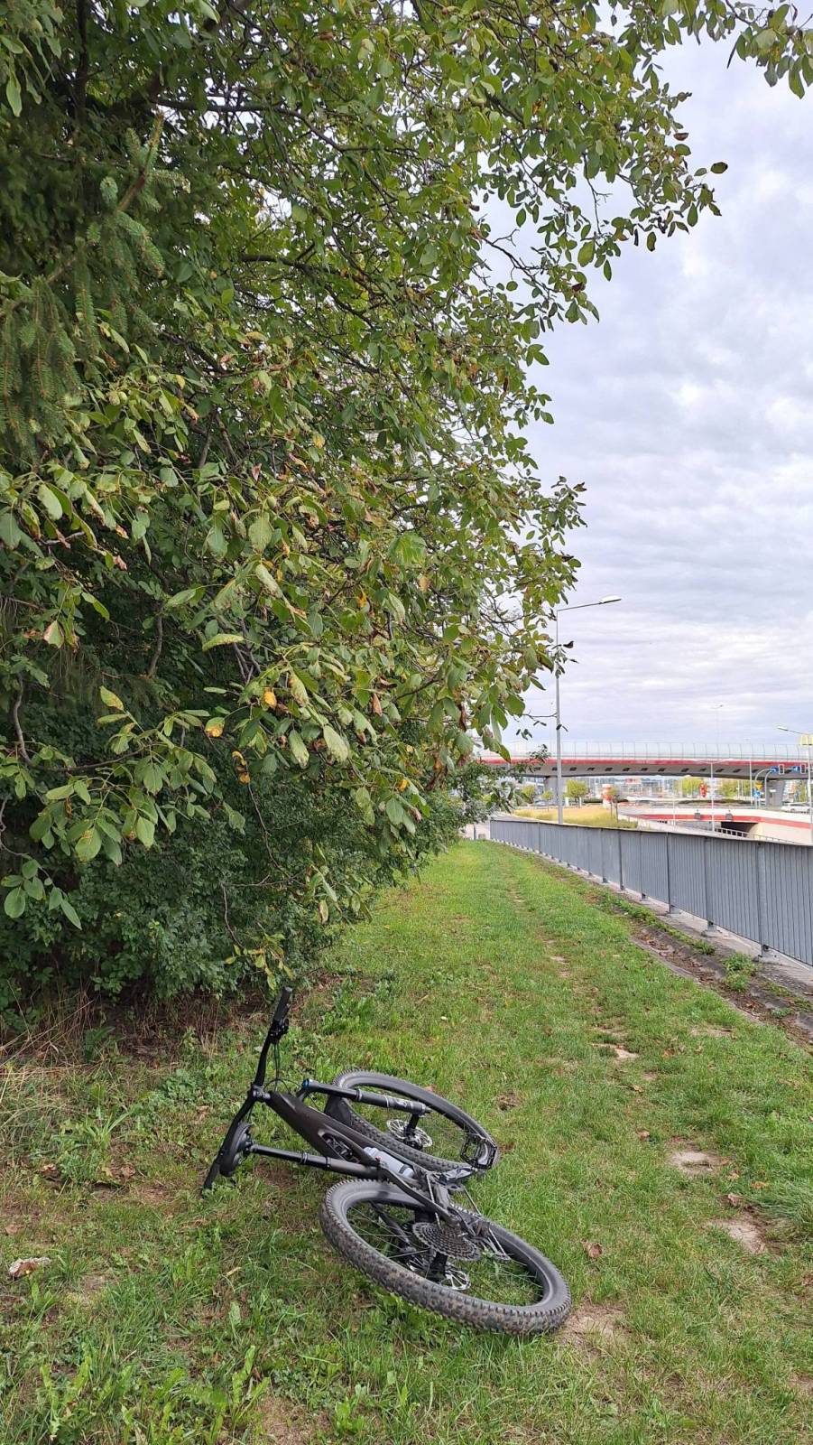 Zdjęcie 6