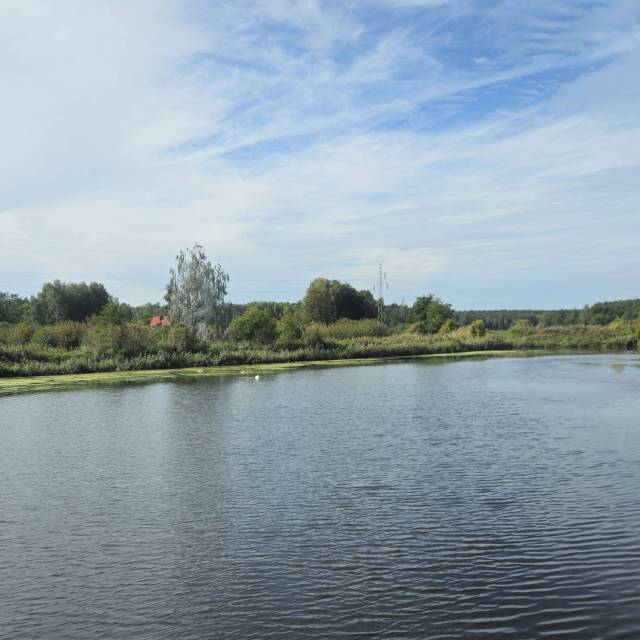 thumb-image