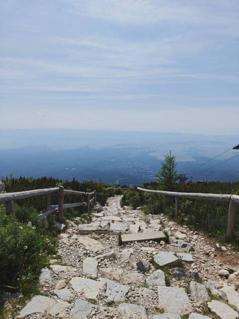 thumb-image