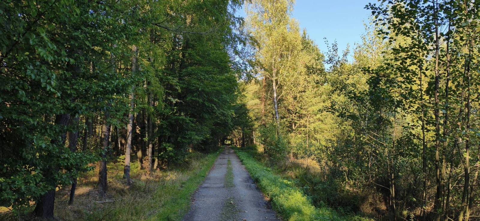 Zdjęcie 3