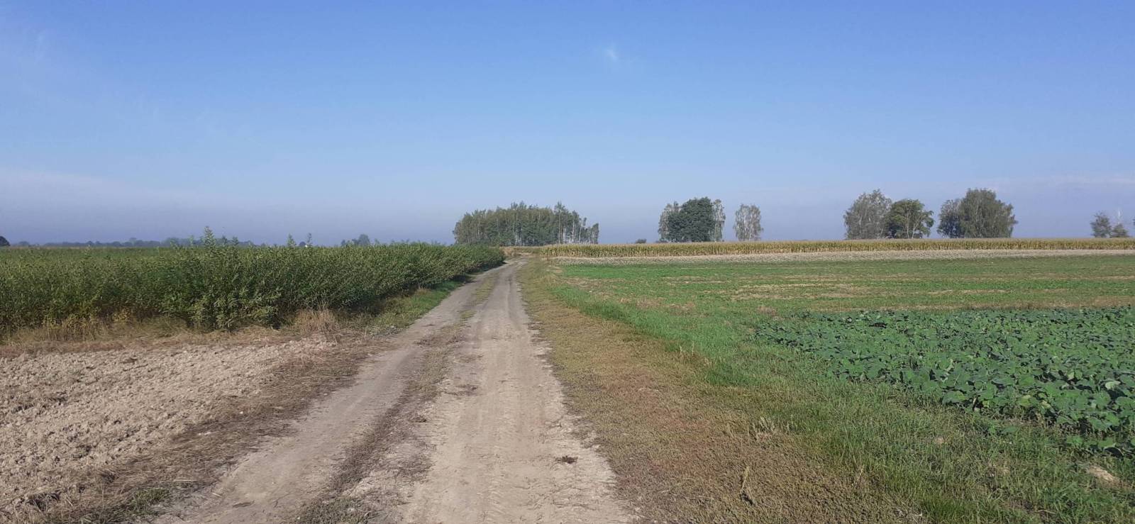 Zdjęcie 5