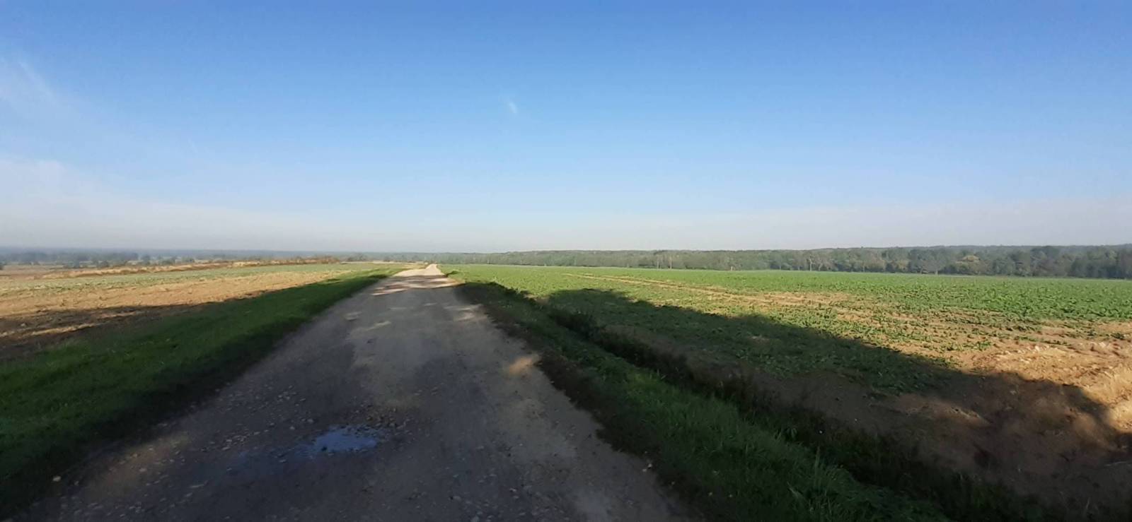 Zdjęcie 2