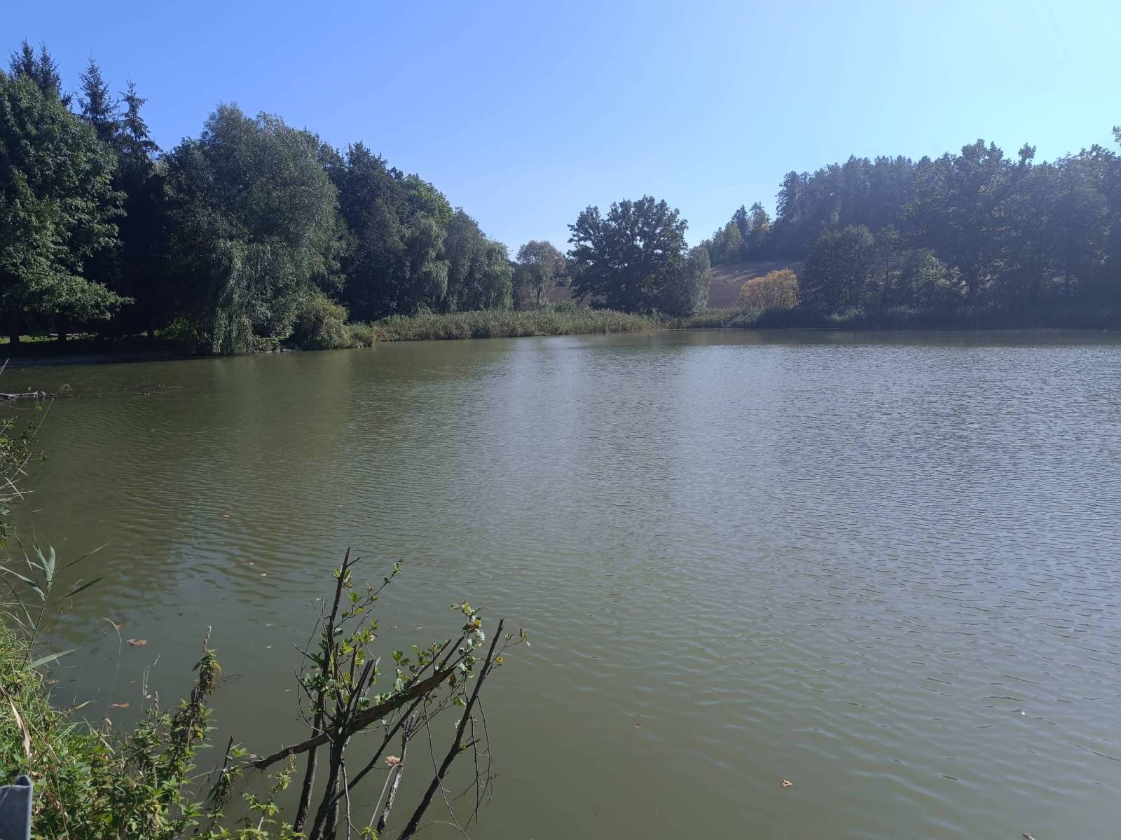 Zdjęcie 6