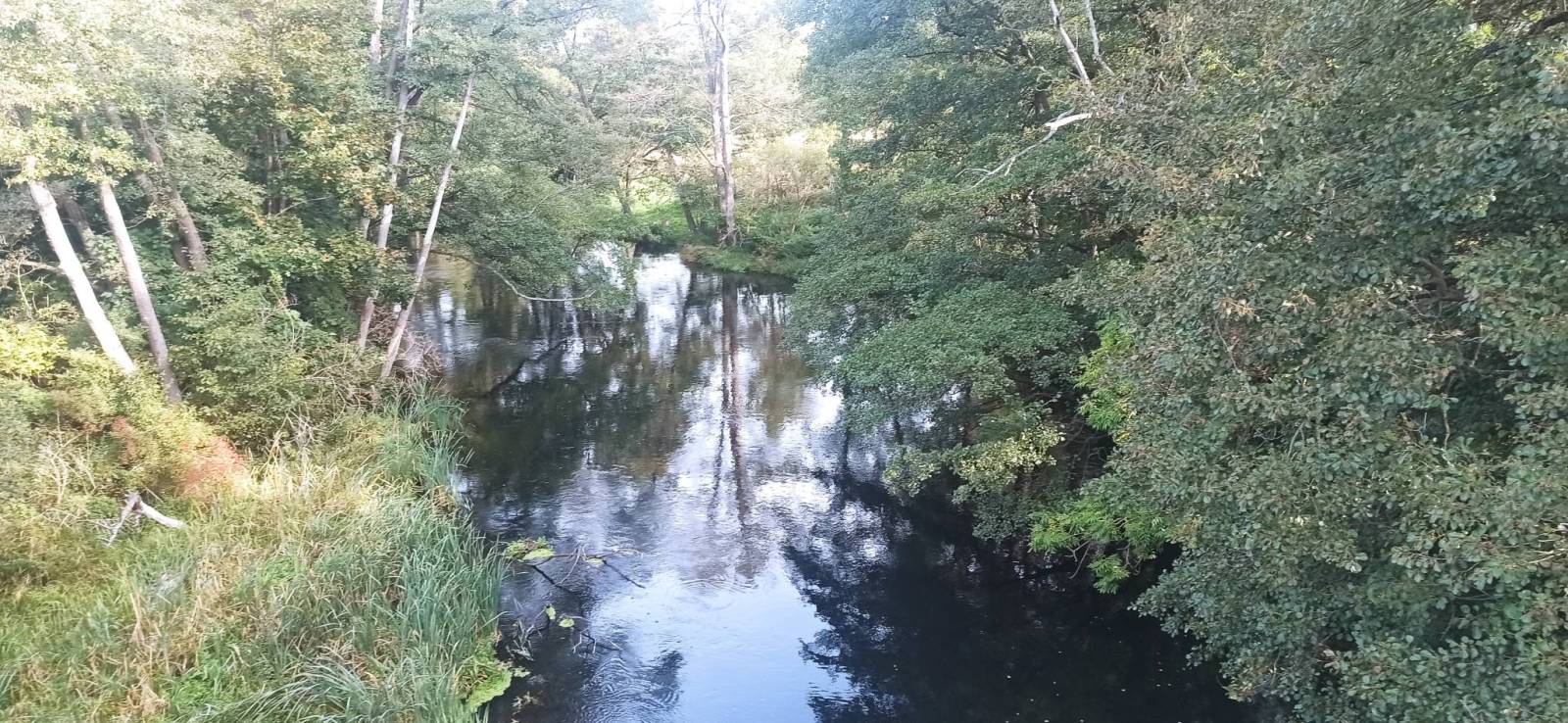 Zdjęcie 6