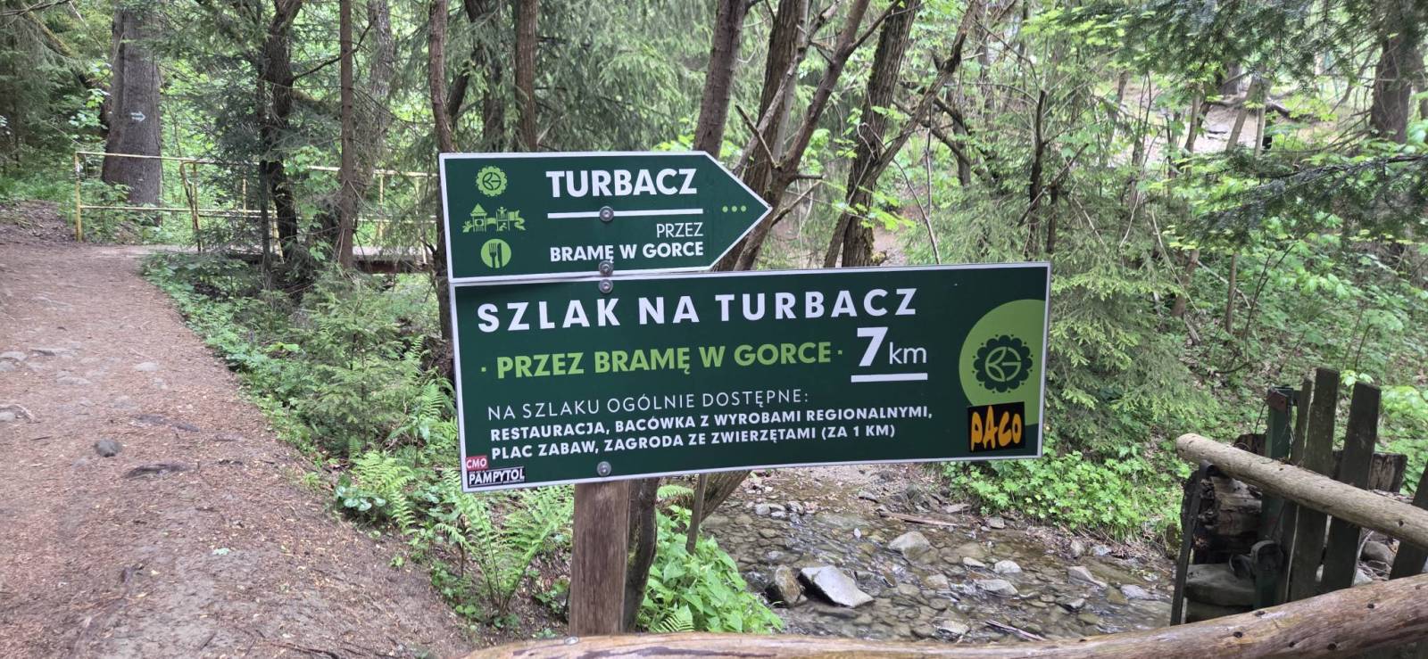 Zdjęcie 1