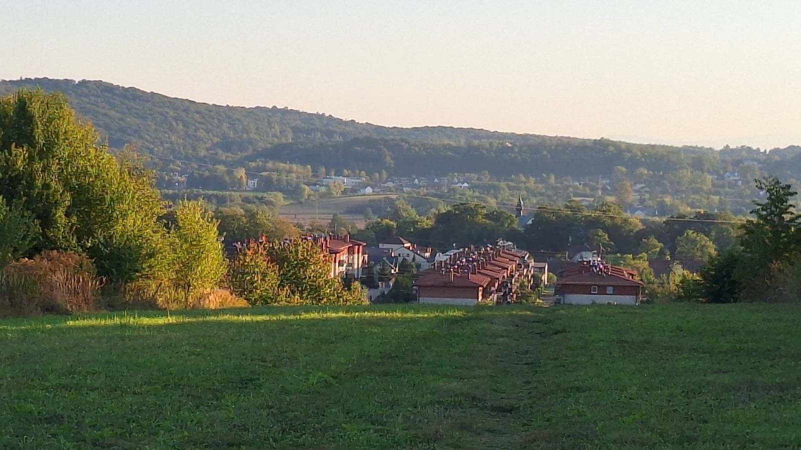 Zdjęcie 1