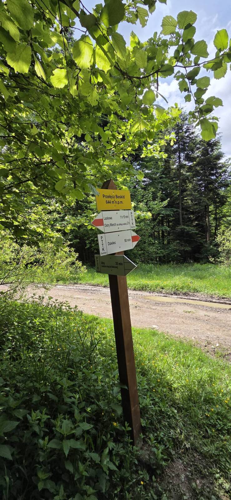 Zdjęcie 5
