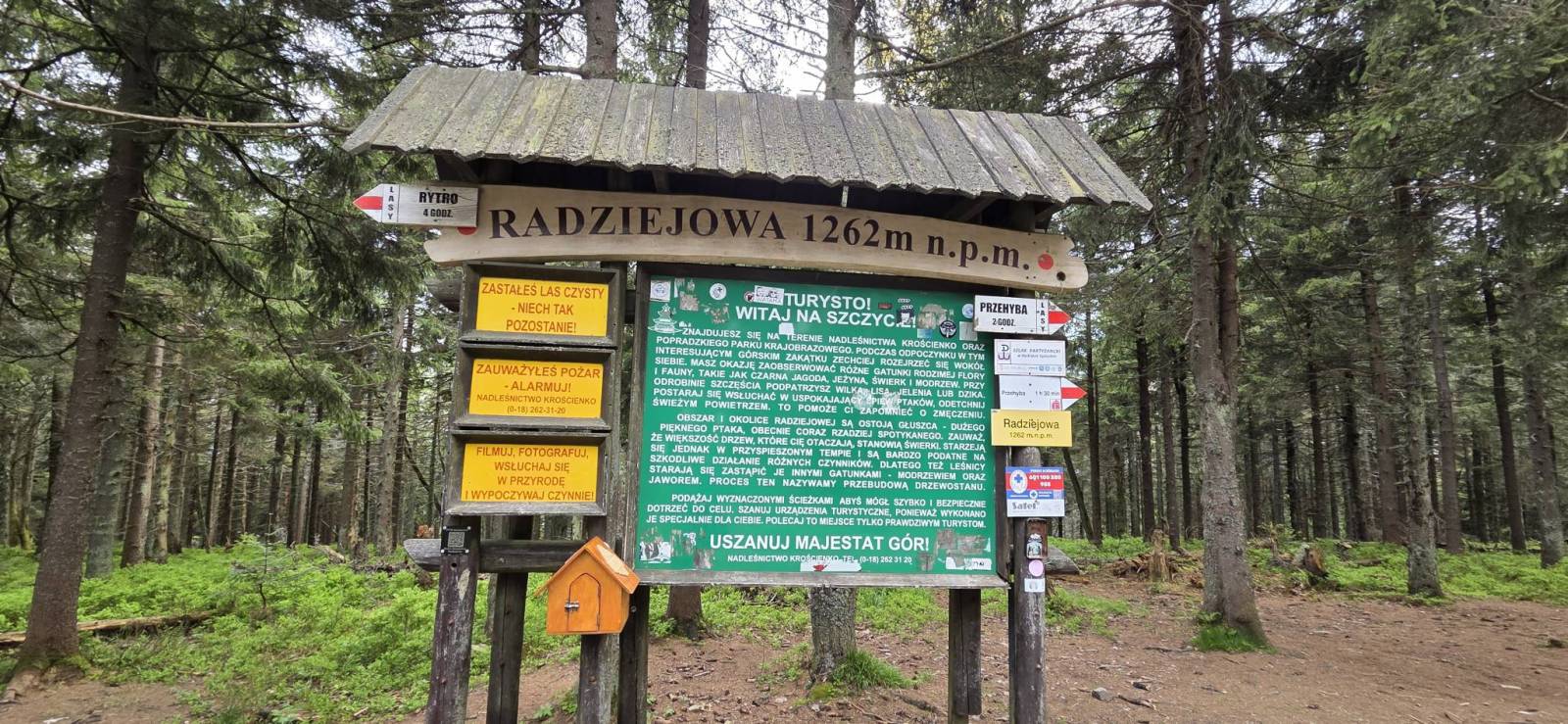 Zdjęcie 1