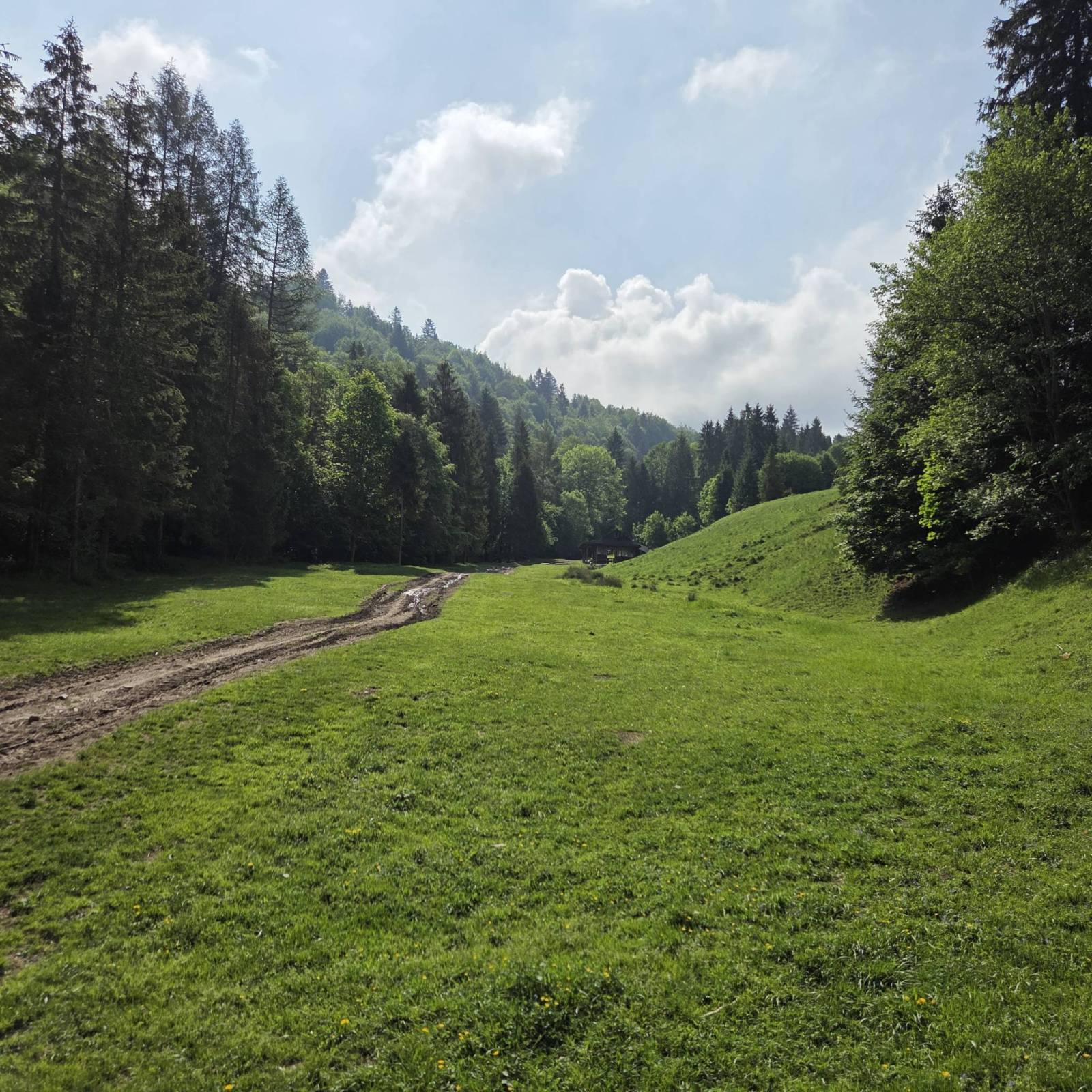 Zdjęcie 6