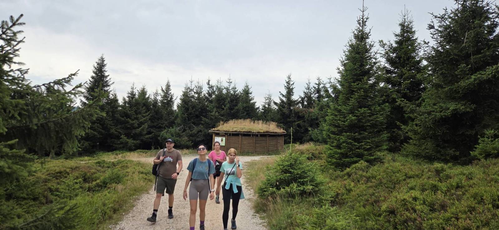 Zdjęcie 2