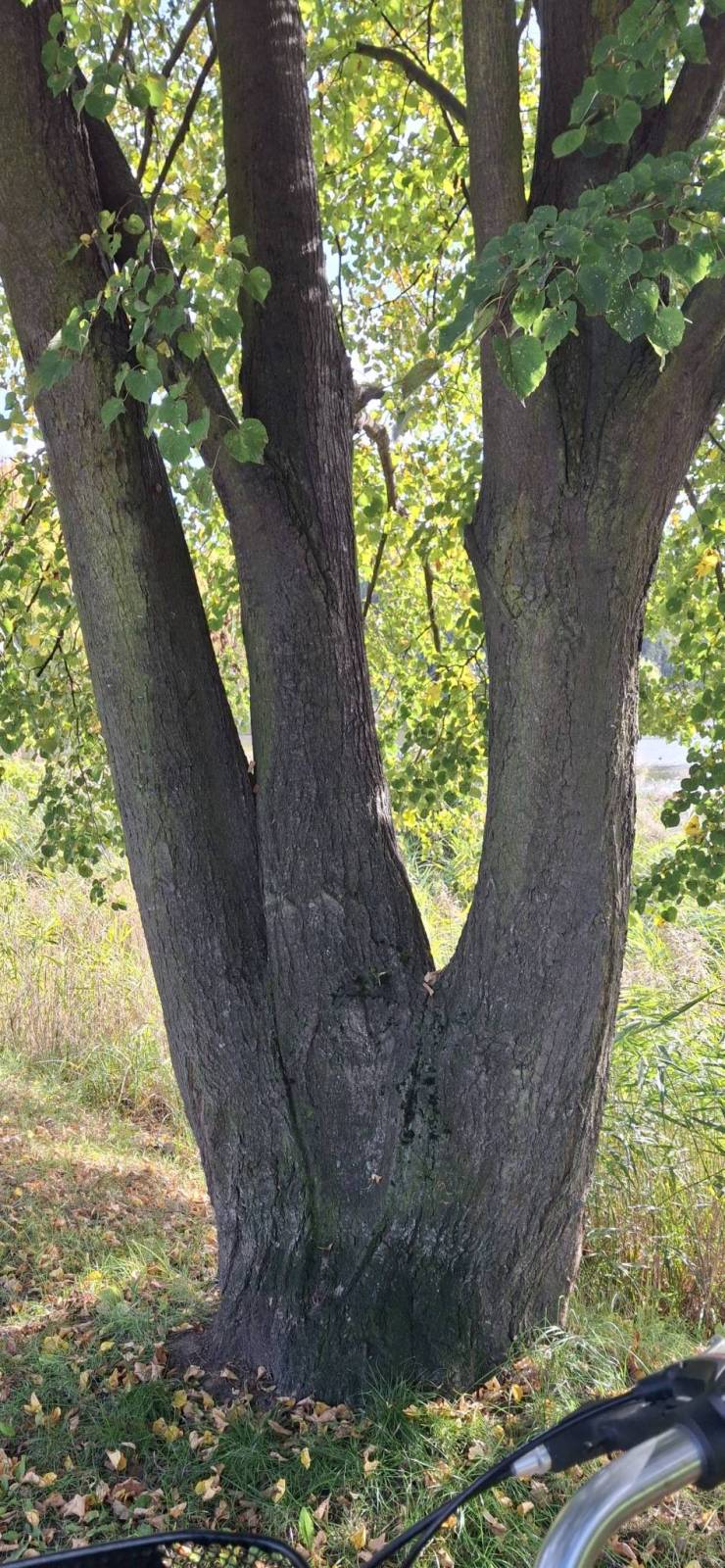 Zdjęcie 5