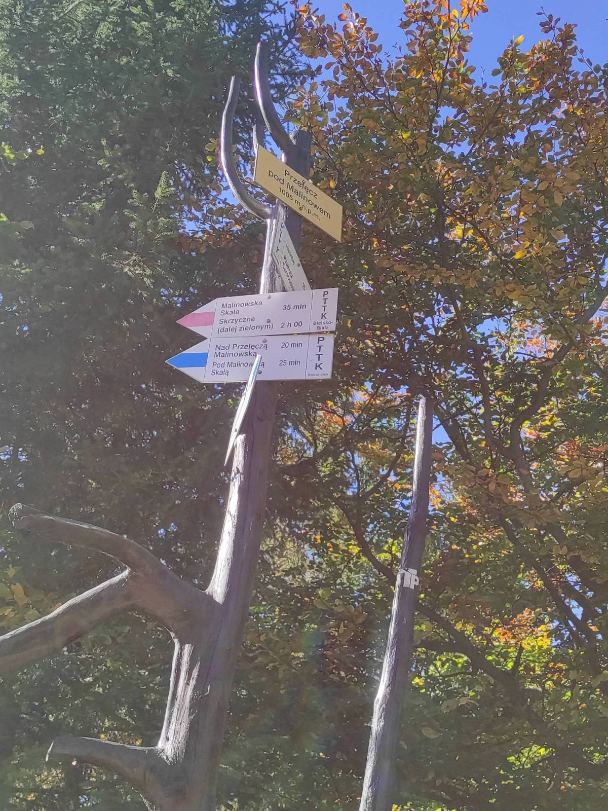 Zdjęcie 3