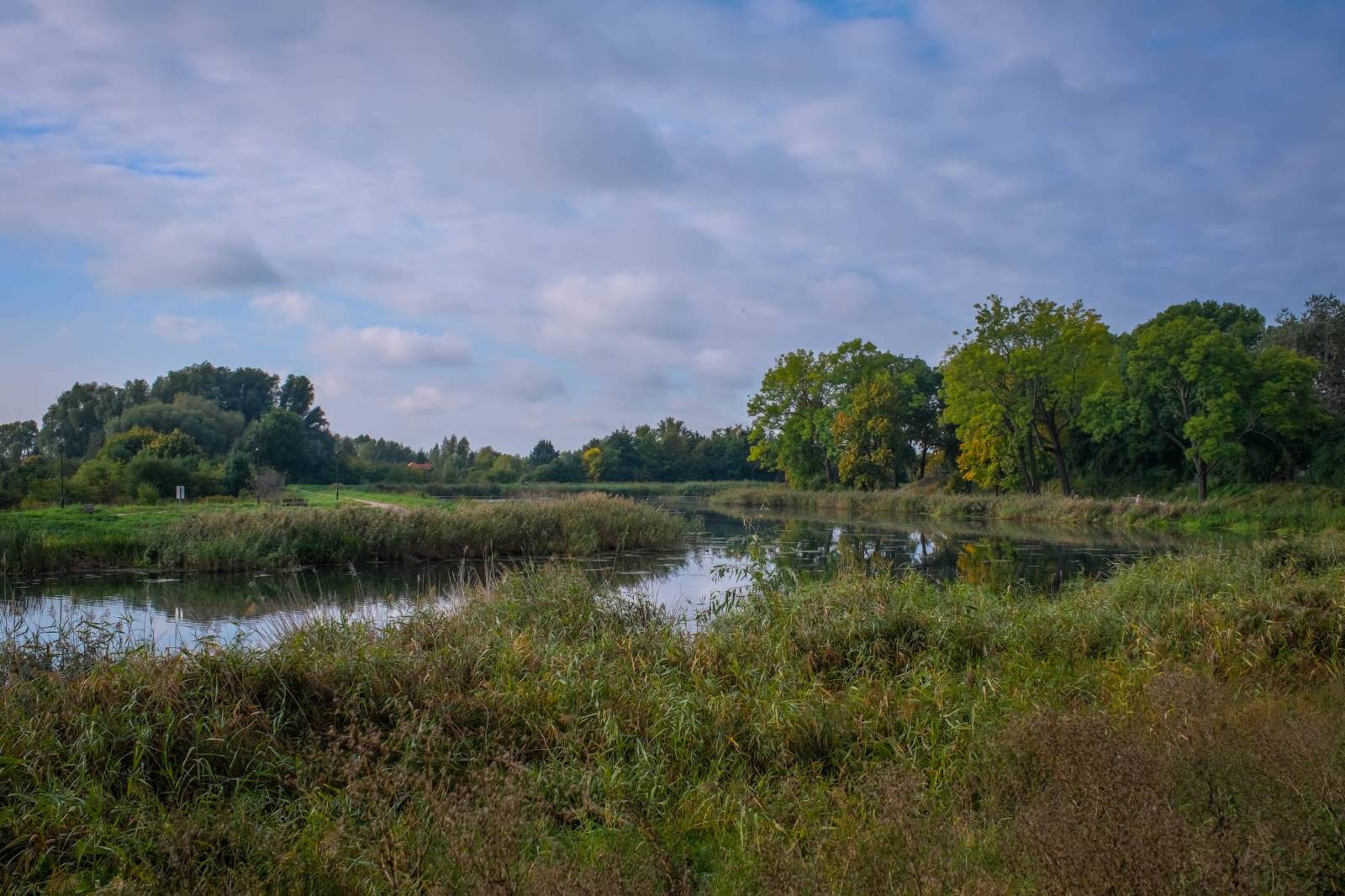Zdjęcie 1