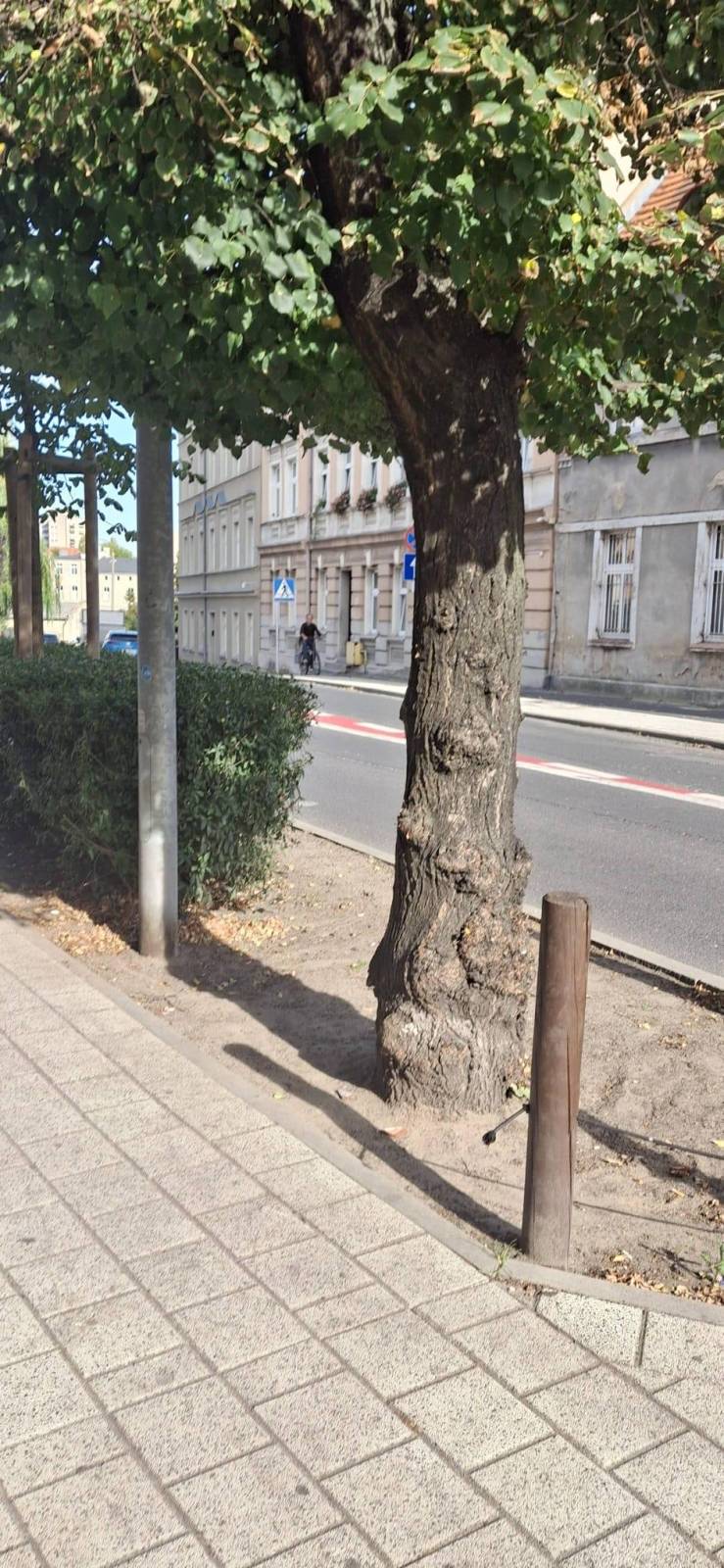 Zdjęcie 3