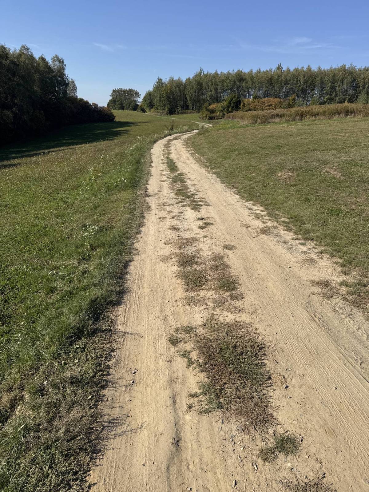 Zdjęcie 5