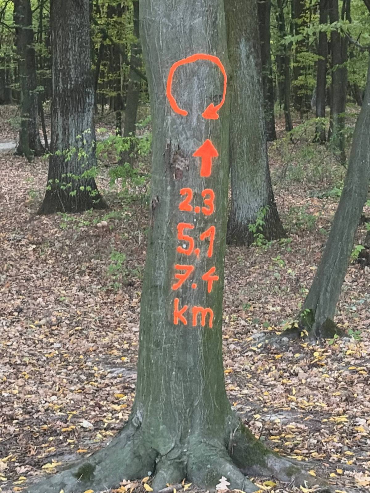Zdjęcie 2