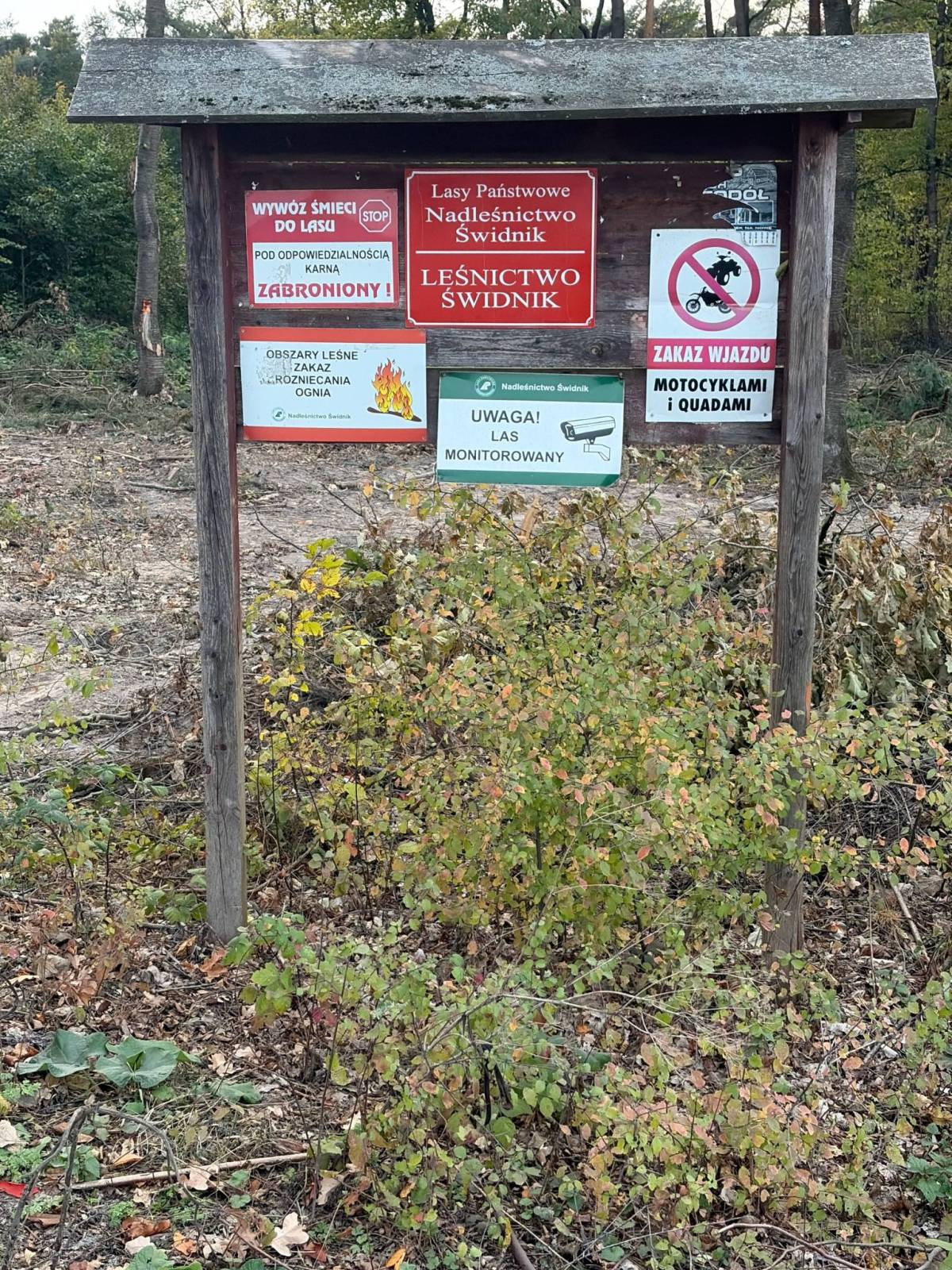 Zdjęcie 3