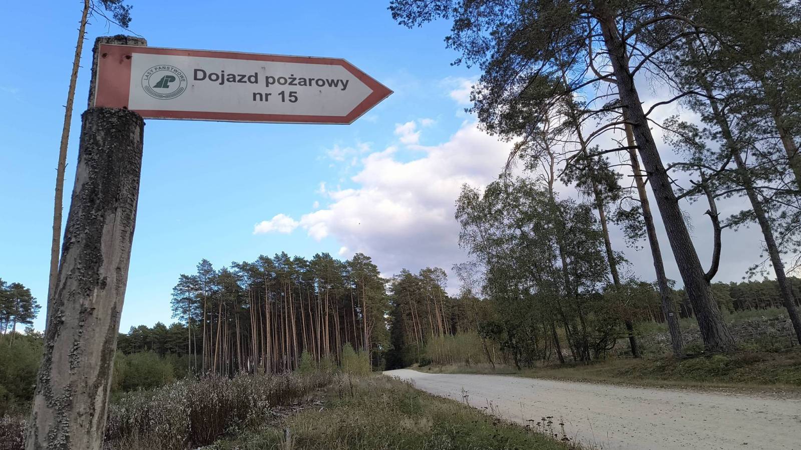 Zdjęcie 2