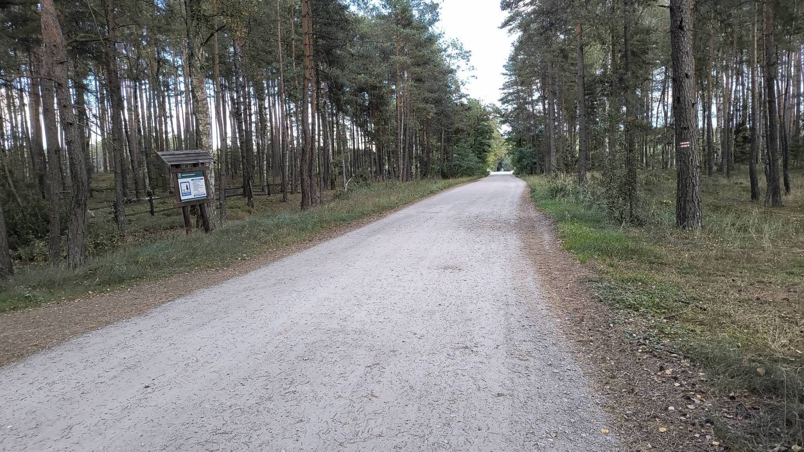 Zdjęcie 4