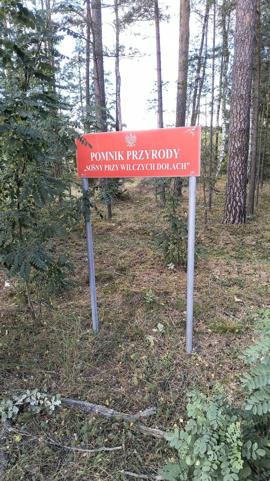 Zdjęcie 5