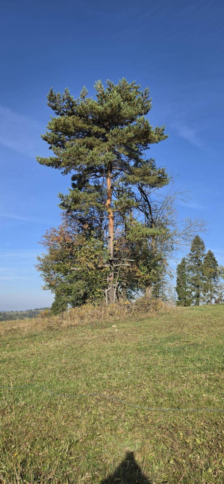 Zdjęcie 5